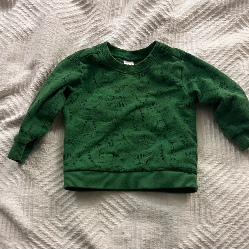 Carter’s Crewneck Sweatshirt Toddler 18 months Dinosaurs‎ Green GUC